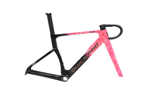 Quick Pro ER:ONE Frameset - Custom Color